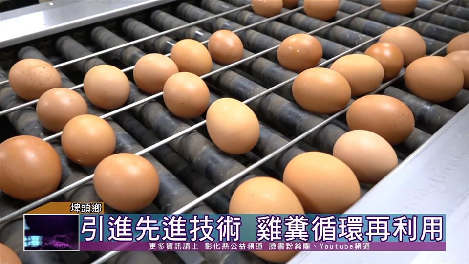 111-02-18 關心雞蛋產業 參訪佳縈畜牧場